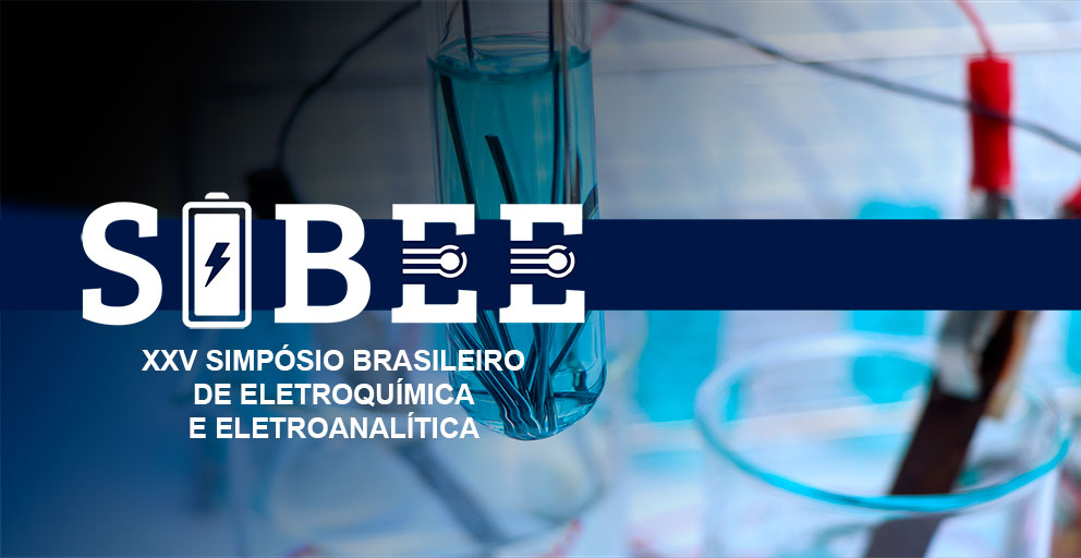 Primeira imagem do slider - Divulgação do evento da SBEE