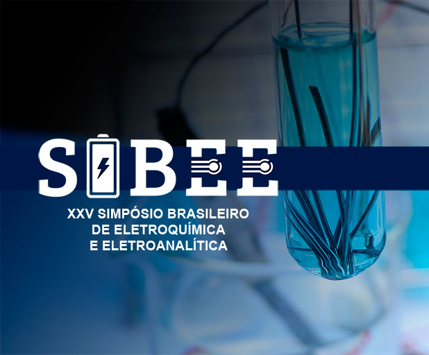 Primeira imagem do slider - Divulgação do evento da SBEE